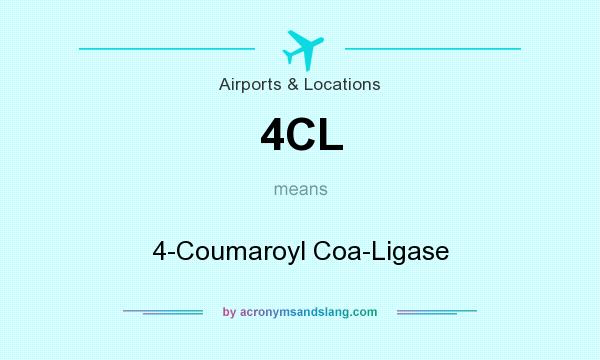 What does 4CL mean? It stands for 4-Coumaroyl Coa-Ligase