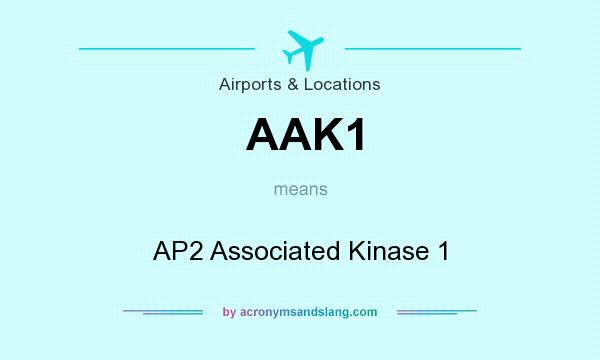 What does AAK1 mean? It stands for AP2 Associated Kinase 1