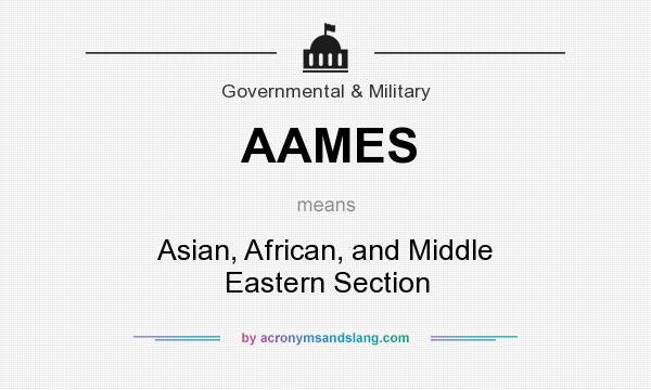 What does AAMES mean? It stands for Asian, African, and Middle Eastern Section