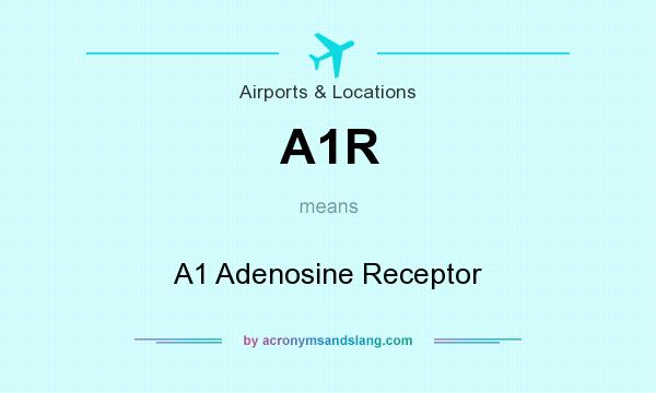What does A1R mean? It stands for A1 Adenosine Receptor