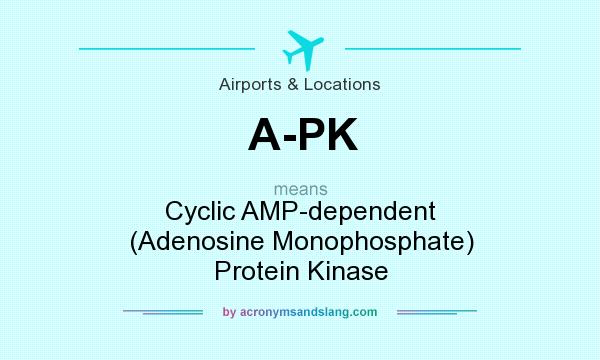 What does A-PK mean? It stands for Cyclic AMP-dependent (Adenosine Monophosphate) Protein Kinase