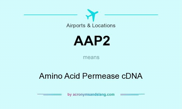 What does AAP2 mean? It stands for Amino Acid Permease cDNA