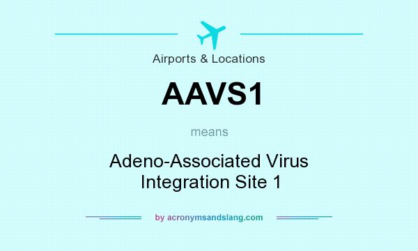 What does AAVS1 mean? It stands for Adeno-Associated Virus Integration Site 1