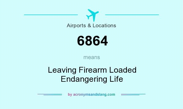 What does 6864 mean? It stands for Leaving Firearm Loaded Endangering Life