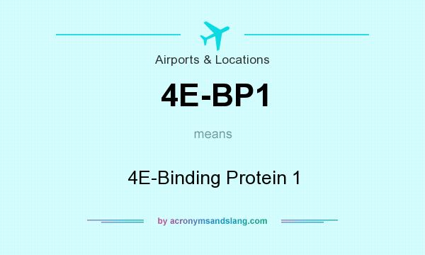 What does 4E-BP1 mean? It stands for 4E-Binding Protein 1