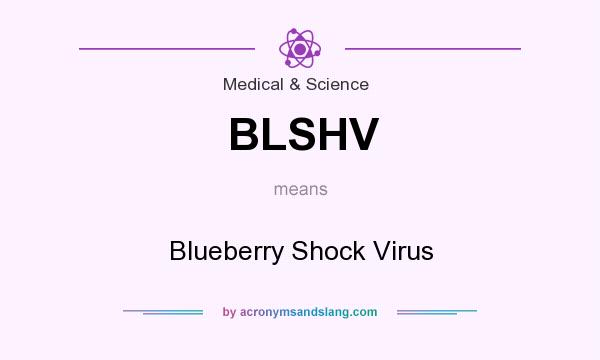 What does BLSHV mean? It stands for Blueberry Shock Virus