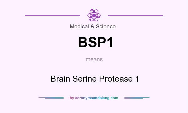 What does BSP1 mean? It stands for Brain Serine Protease 1