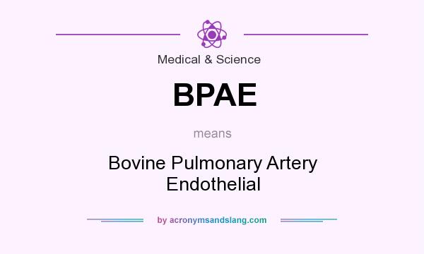 What does BPAE mean? It stands for Bovine Pulmonary Artery Endothelial
