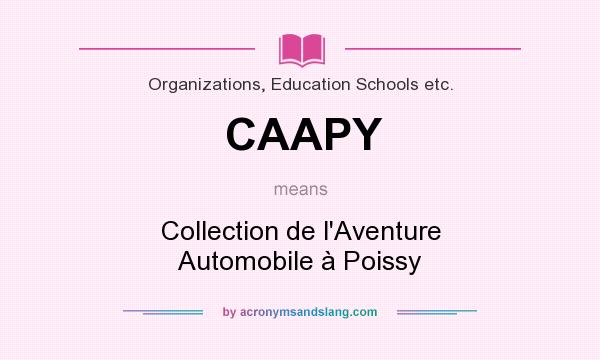 What does CAAPY mean? It stands for Collection de l`Aventure Automobile à Poissy