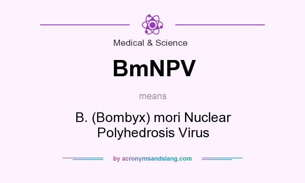 What does BmNPV mean? It stands for B. (Bombyx) mori Nuclear Polyhedrosis Virus