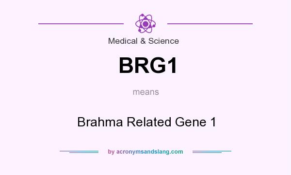 What does BRG1 mean? It stands for Brahma Related Gene 1