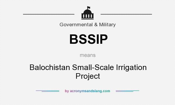 What does BSSIP mean? It stands for Balochistan Small-Scale Irrigation Project