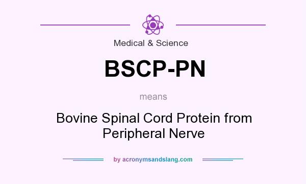 What does BSCP-PN mean? It stands for Bovine Spinal Cord Protein from Peripheral Nerve