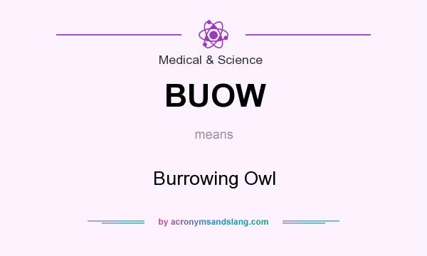 What does BUOW mean? It stands for Burrowing Owl