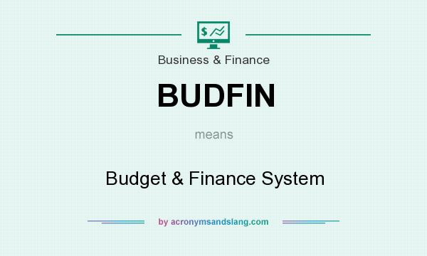 What does BUDFIN mean? It stands for Budget & Finance System