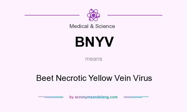 What does BNYV mean? It stands for Beet Necrotic Yellow Vein Virus
