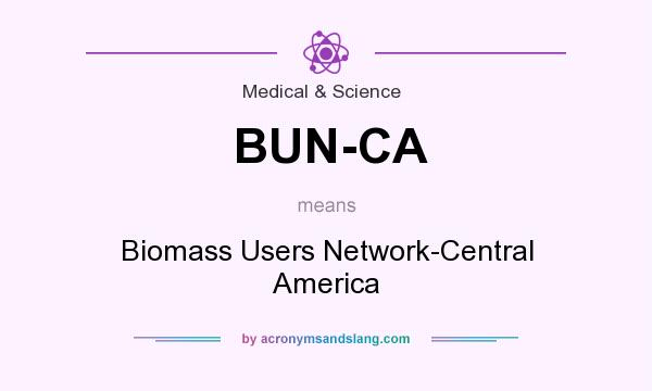 What does BUN-CA mean? It stands for Biomass Users Network-Central America