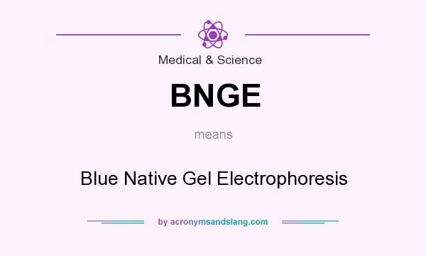 What does BNGE mean? It stands for Blue Native Gel Electrophoresis