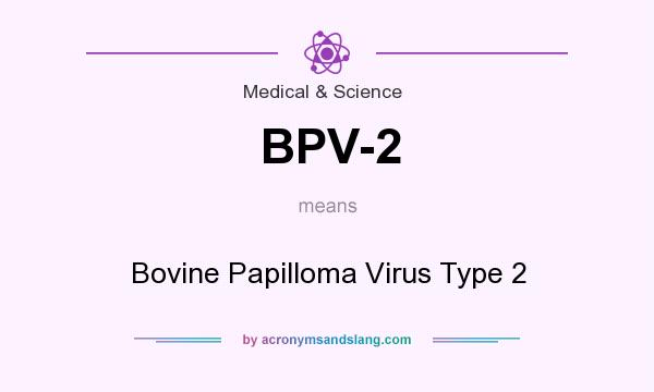 What does BPV-2 mean? It stands for Bovine Papilloma Virus Type 2