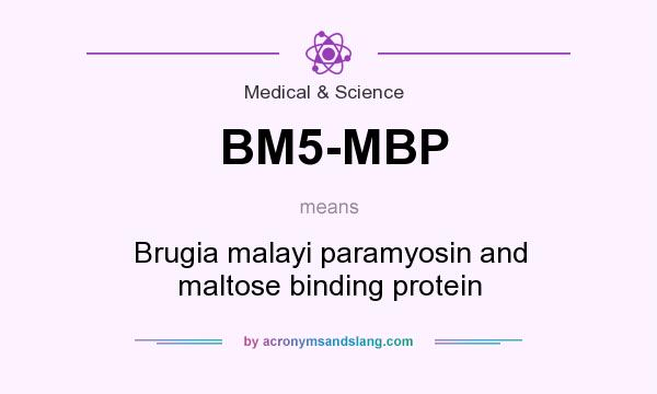 What does BM5-MBP mean? It stands for Brugia malayi paramyosin and maltose binding protein