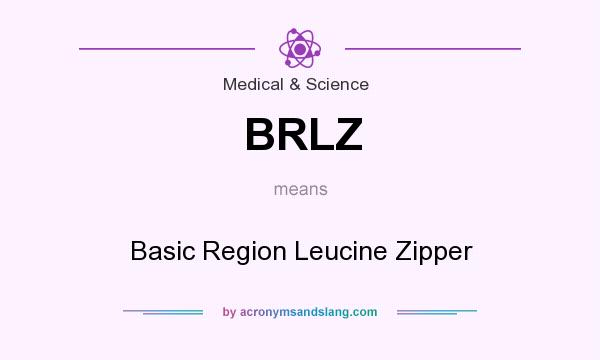 What does BRLZ mean? It stands for Basic Region Leucine Zipper