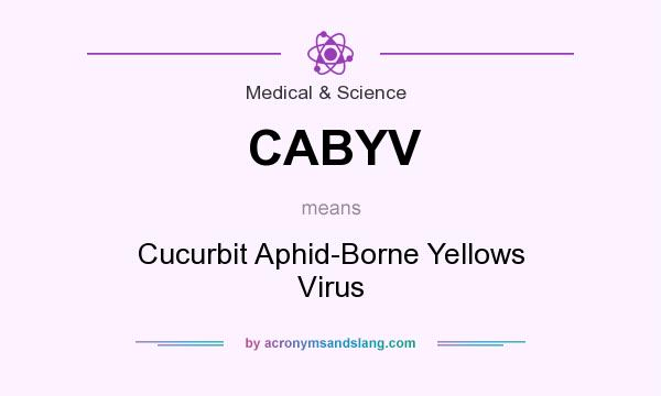 What does CABYV mean? It stands for Cucurbit Aphid-Borne Yellows Virus