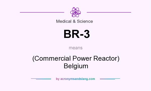 What does BR-3 mean? It stands for (Commercial Power Reactor) Belgium