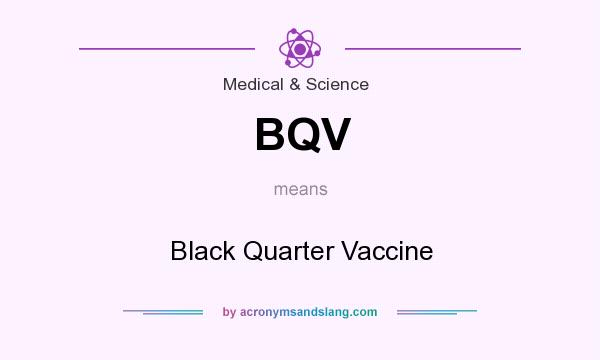What does BQV mean? It stands for Black Quarter Vaccine