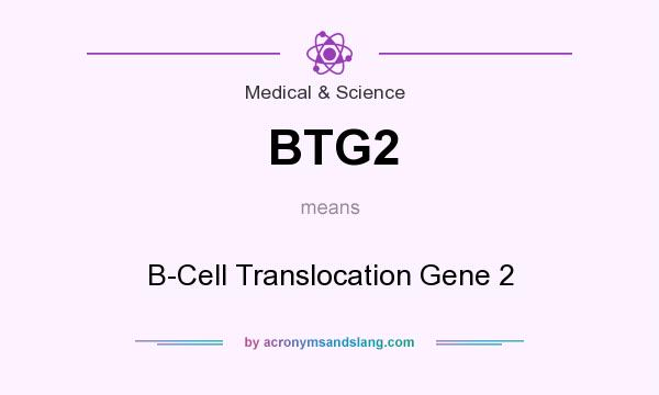 What does BTG2 mean? It stands for B-Cell Translocation Gene 2