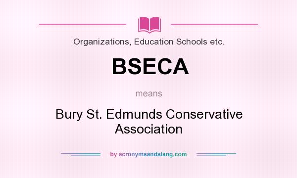 What does BSECA mean? It stands for Bury St. Edmunds Conservative Association