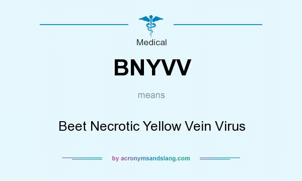 What does BNYVV mean? It stands for Beet Necrotic Yellow Vein Virus