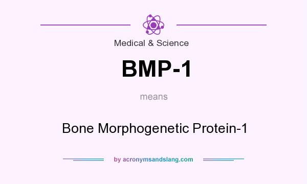 What does BMP-1 mean? It stands for Bone Morphogenetic Protein-1