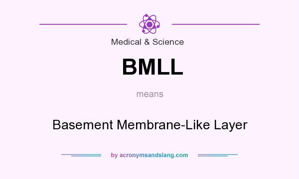 What does BMLL mean? It stands for Basement Membrane-Like Layer