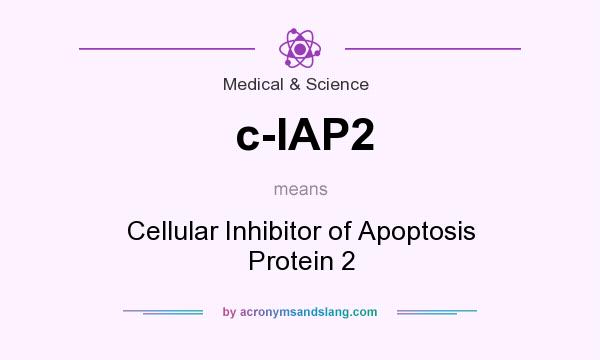 What does c-IAP2 mean? It stands for Cellular Inhibitor of Apoptosis Protein 2