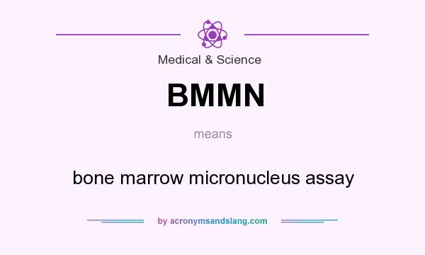 What does BMMN mean? It stands for bone marrow micronucleus assay