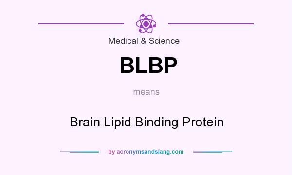 What does BLBP mean? It stands for Brain Lipid Binding Protein