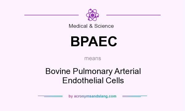What does BPAEC mean? It stands for Bovine Pulmonary Arterial Endothelial Cells
