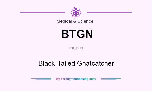What does BTGN mean? It stands for Black-Tailed Gnatcatcher