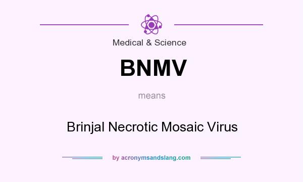 What does BNMV mean? It stands for Brinjal Necrotic Mosaic Virus