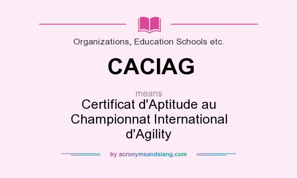 What does CACIAG mean? It stands for Certificat d`Aptitude au Championnat International d`Agility