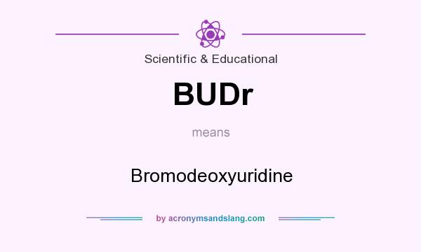 What does BUDr mean? It stands for Bromodeoxyuridine