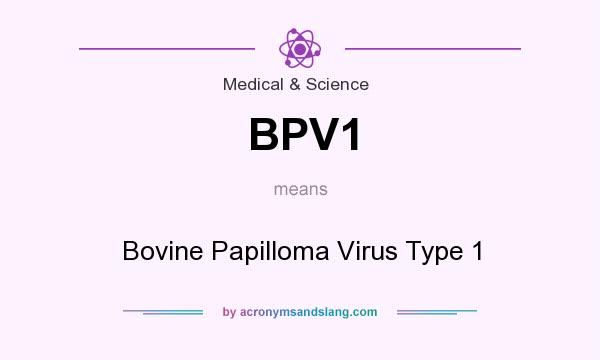 What does BPV1 mean? It stands for Bovine Papilloma Virus Type 1