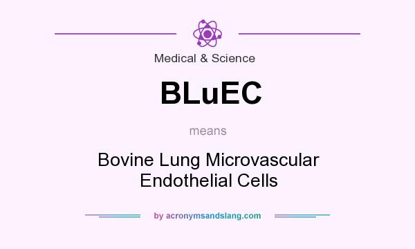 What does BLuEC mean? It stands for Bovine Lung Microvascular Endothelial Cells