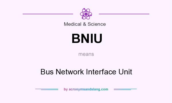 What does BNIU mean? It stands for Bus Network Interface Unit