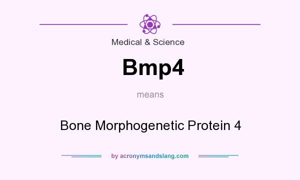 What does Bmp4 mean? It stands for Bone Morphogenetic Protein 4