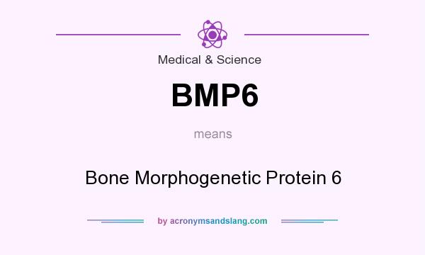 What does BMP6 mean? It stands for Bone Morphogenetic Protein 6