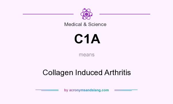 What does C1A mean? It stands for Collagen Induced Arthritis