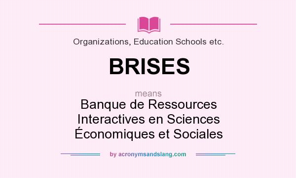 What does BRISES mean? It stands for Banque de Ressources Interactives en Sciences Économiques et Sociales