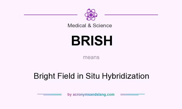 What does BRISH mean? It stands for Bright Field in Situ Hybridization