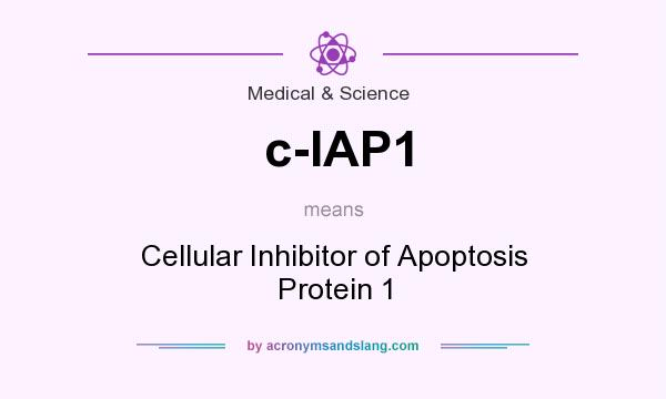 What does c-IAP1 mean? It stands for Cellular Inhibitor of Apoptosis Protein 1